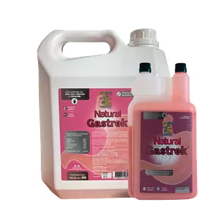 Natural Gastrok X 1 Lt