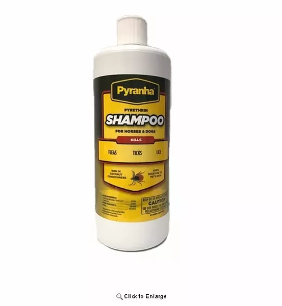 Pyranha Shampoo