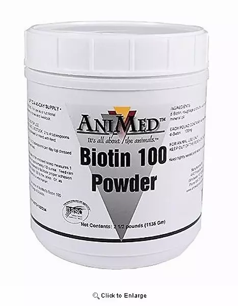 Biotin 100 Powder Por Kilo