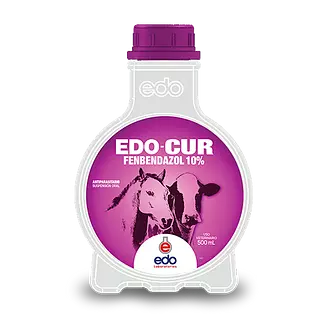 Edo Cur 10% X 1 Lt