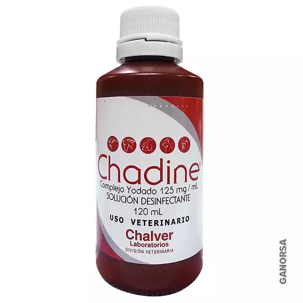 Chadine R X 120 Ml